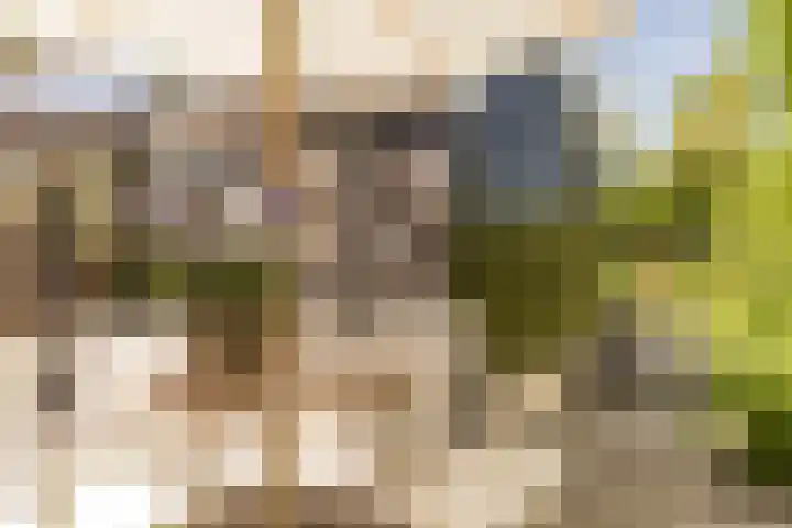 Zijtak 46 Laren thumbnail 31