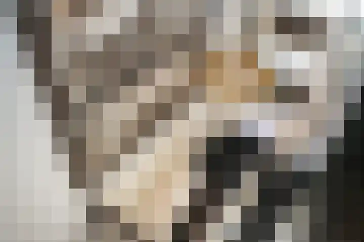 Zijtak 46 Laren thumbnail 32