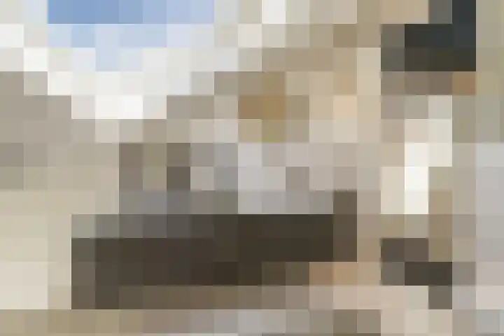 Zijtak 46 Laren thumbnail 37