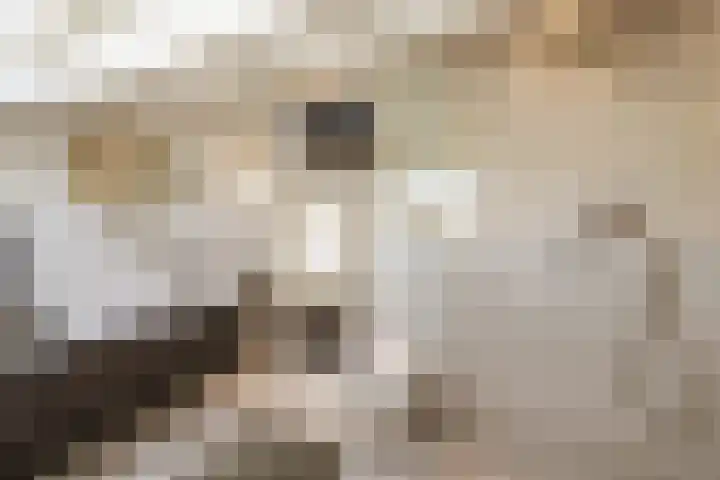 Zijtak 46 Laren thumbnail 38