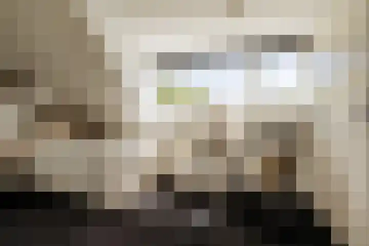 Zijtak 46 Laren thumbnail 42
