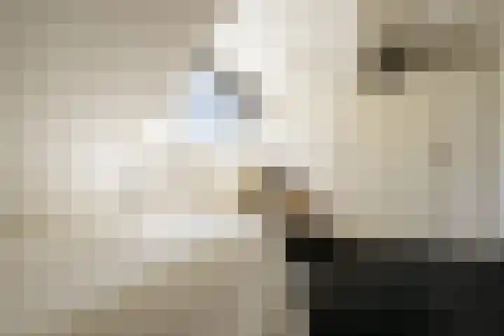 Zijtak 46 Laren thumbnail 43