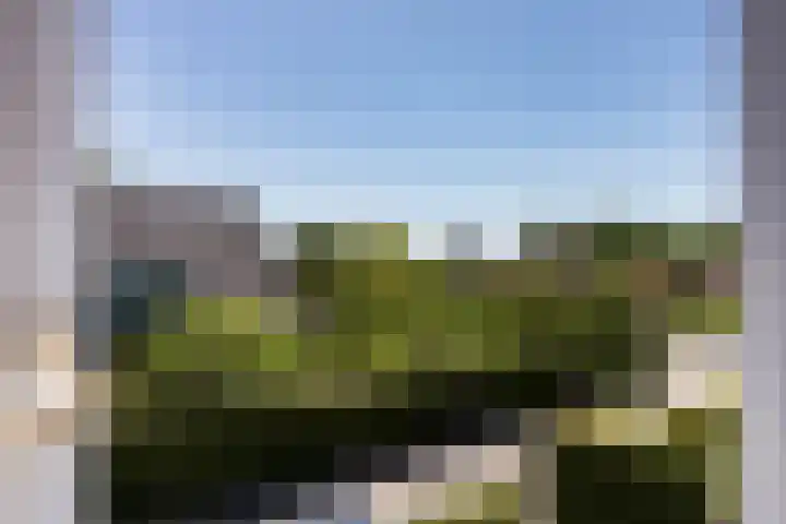 Zijtak 46 Laren thumbnail 44
