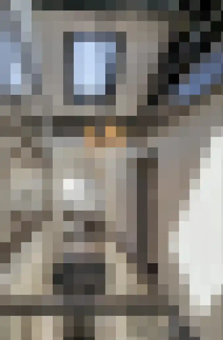 Zijtak 46 Laren thumbnail 46