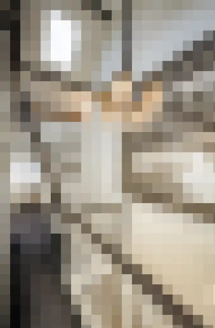 Zijtak 46 Laren thumbnail 47
