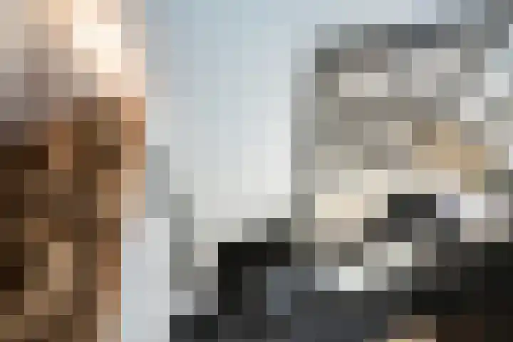 Zijtak 46 Laren thumbnail 48