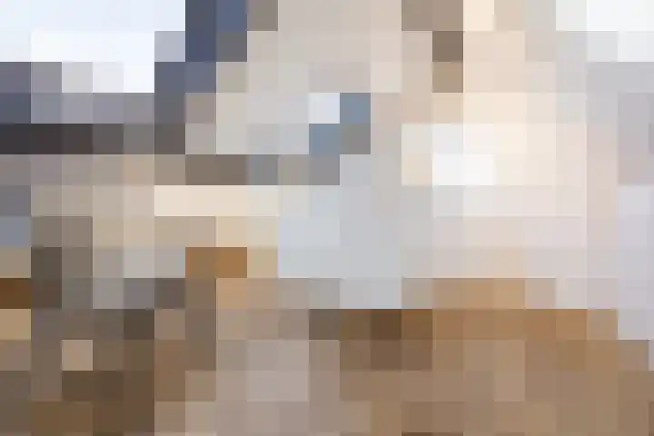 Zijtak 46 Laren thumbnail 50