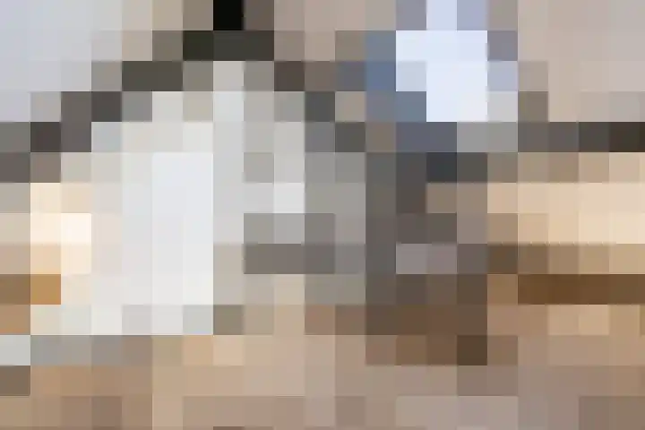 Zijtak 46 Laren thumbnail 51