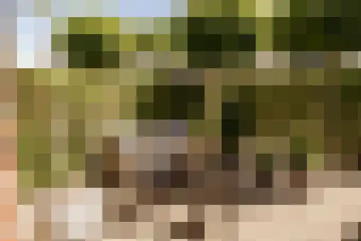 Zijtak 46 Laren thumbnail 6