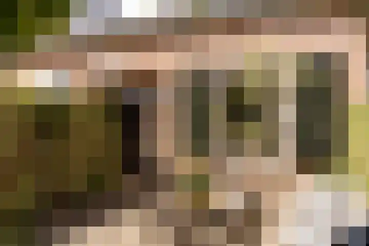 Zijtak 46 Laren thumbnail 7
