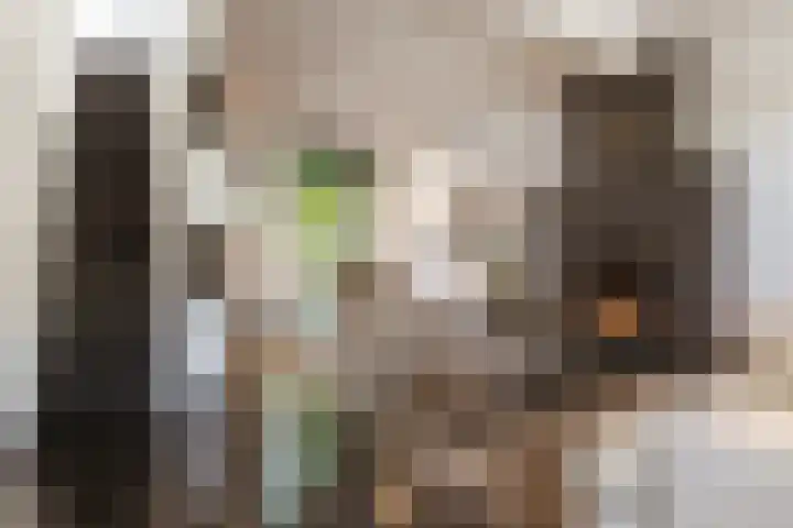 Zijtak 46 Laren thumbnail 9