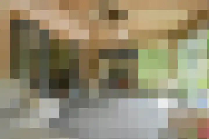 Zijtak OZ 130 Nieuw-Amsterdam thumbnail 105
