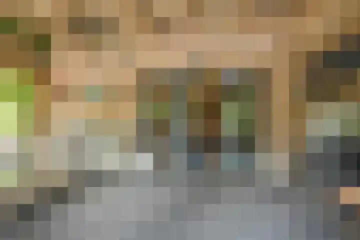 Zijtak OZ 130 Nieuw-Amsterdam thumbnail 106