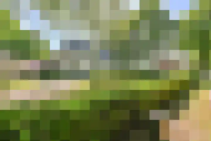 Zijtak OZ 130 Nieuw-Amsterdam thumbnail 6