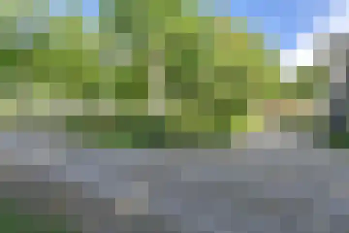 Zijtak OZ 130 Nieuw-Amsterdam thumbnail 8