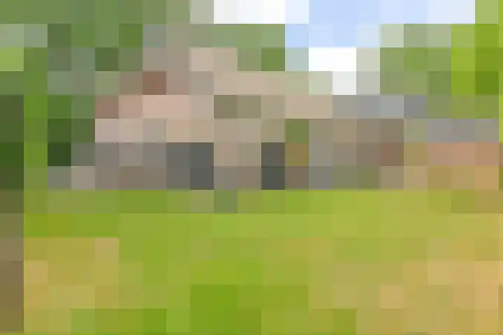 Zijtak OZ 130 Nieuw-Amsterdam thumbnail 89