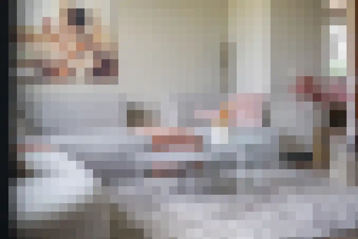 Zijtak OZ 3 Nieuw-Amsterdam thumbnail 26