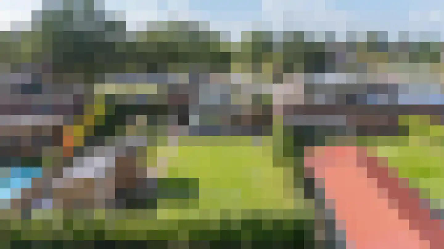 Zijtak OZ 3 Nieuw-Amsterdam thumbnail 49