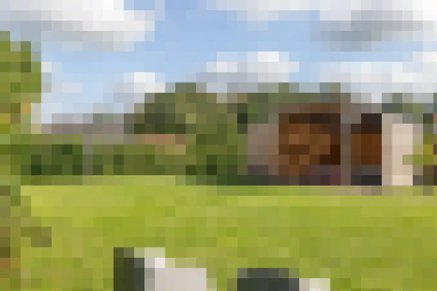 Zijtak OZ 3 Nieuw-Amsterdam thumbnail 51