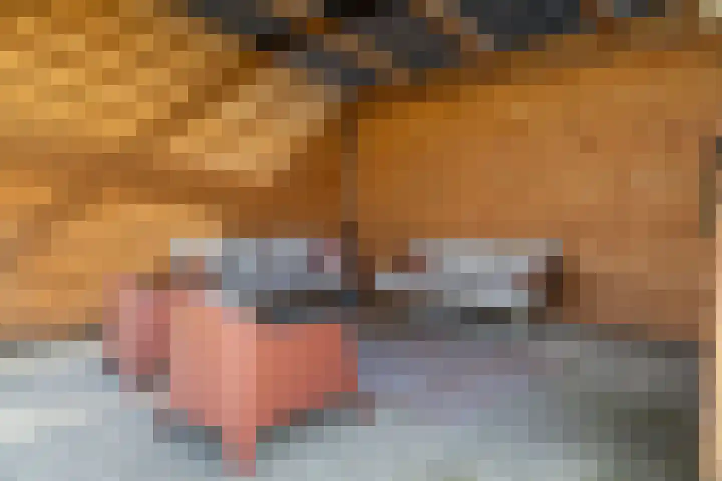 Zijtak OZ 3 Nieuw-Amsterdam thumbnail 56