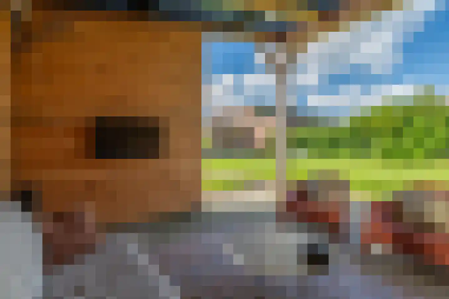 Zijtak OZ 3 Nieuw-Amsterdam thumbnail 57