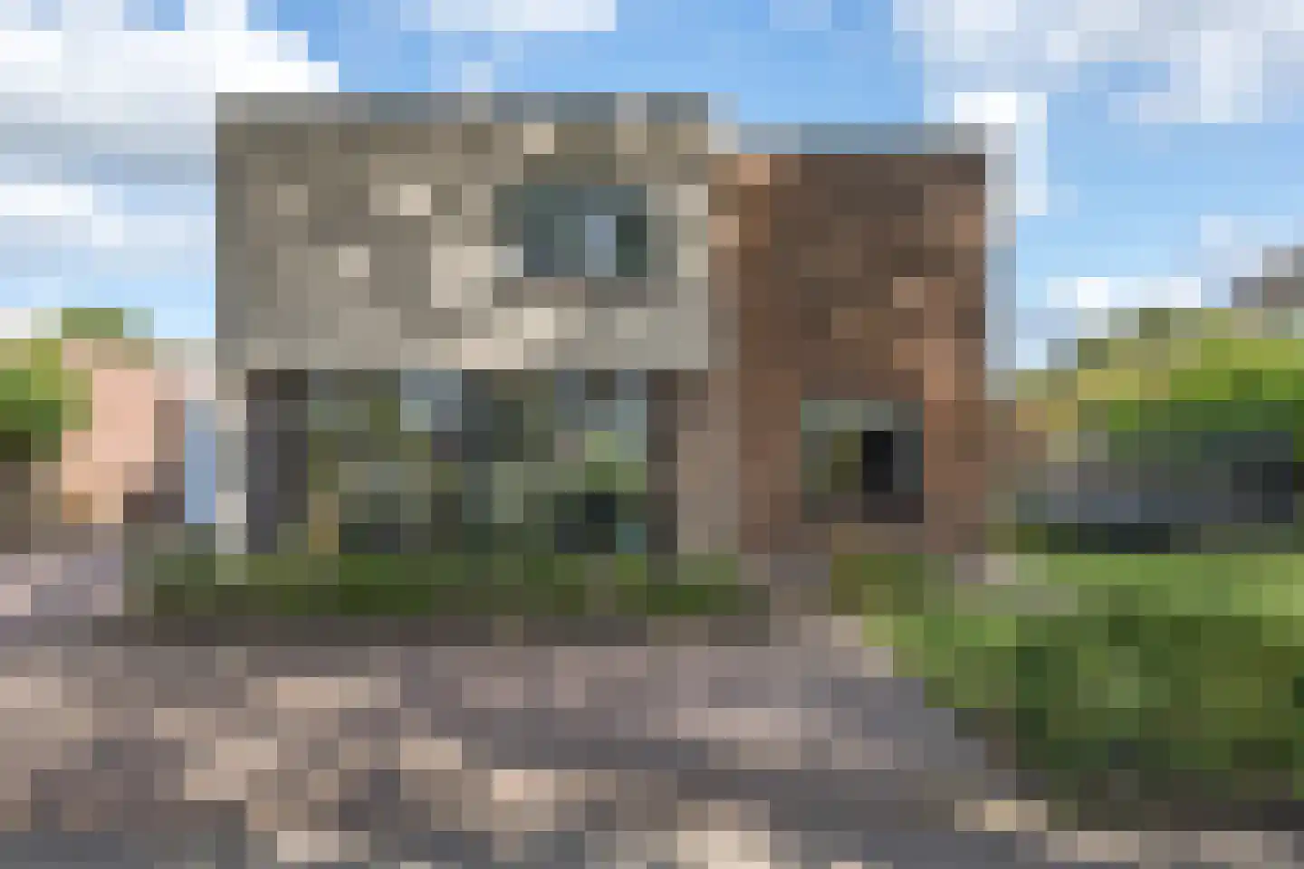 Zijtak OZ 3 Nieuw-Amsterdam thumbnail 6