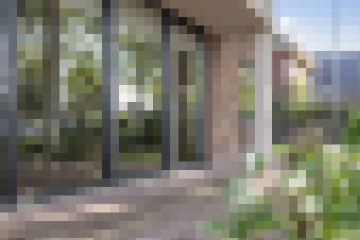 Zijtak OZ 3 Nieuw-Amsterdam thumbnail 64