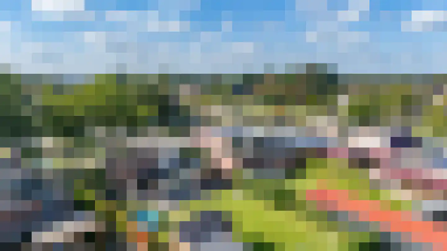 Zijtak OZ 3 Nieuw-Amsterdam thumbnail 65
