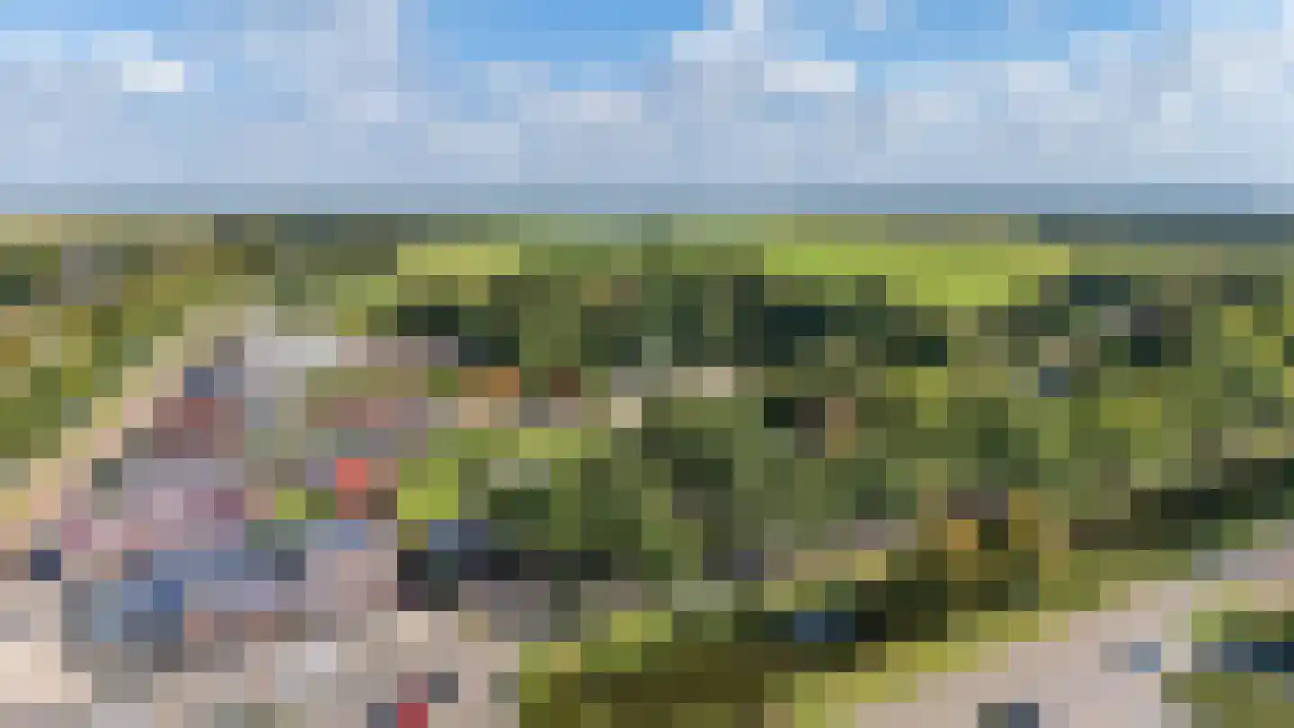 Zijtak OZ 3 Nieuw-Amsterdam thumbnail 66