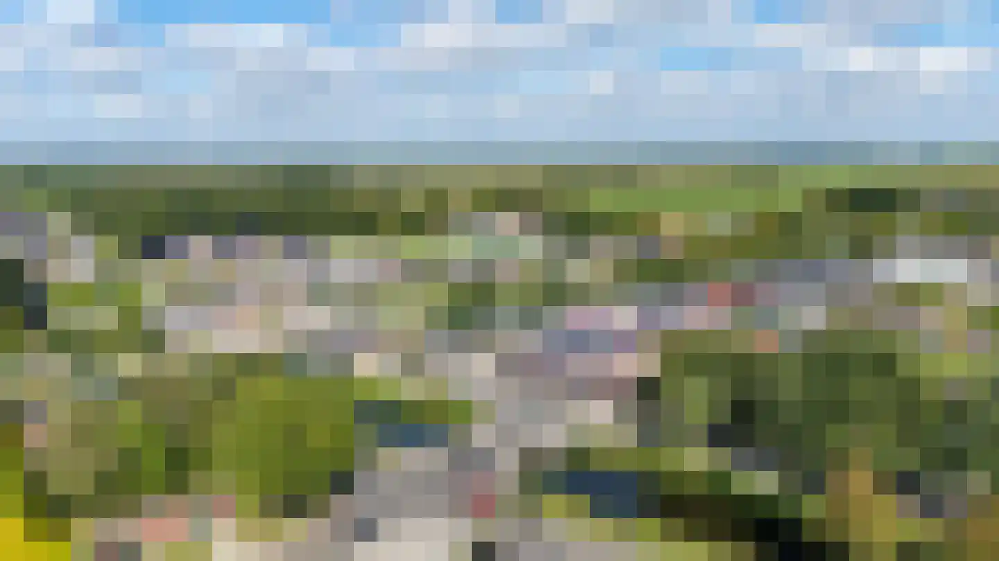 Zijtak OZ 3 Nieuw-Amsterdam thumbnail 67