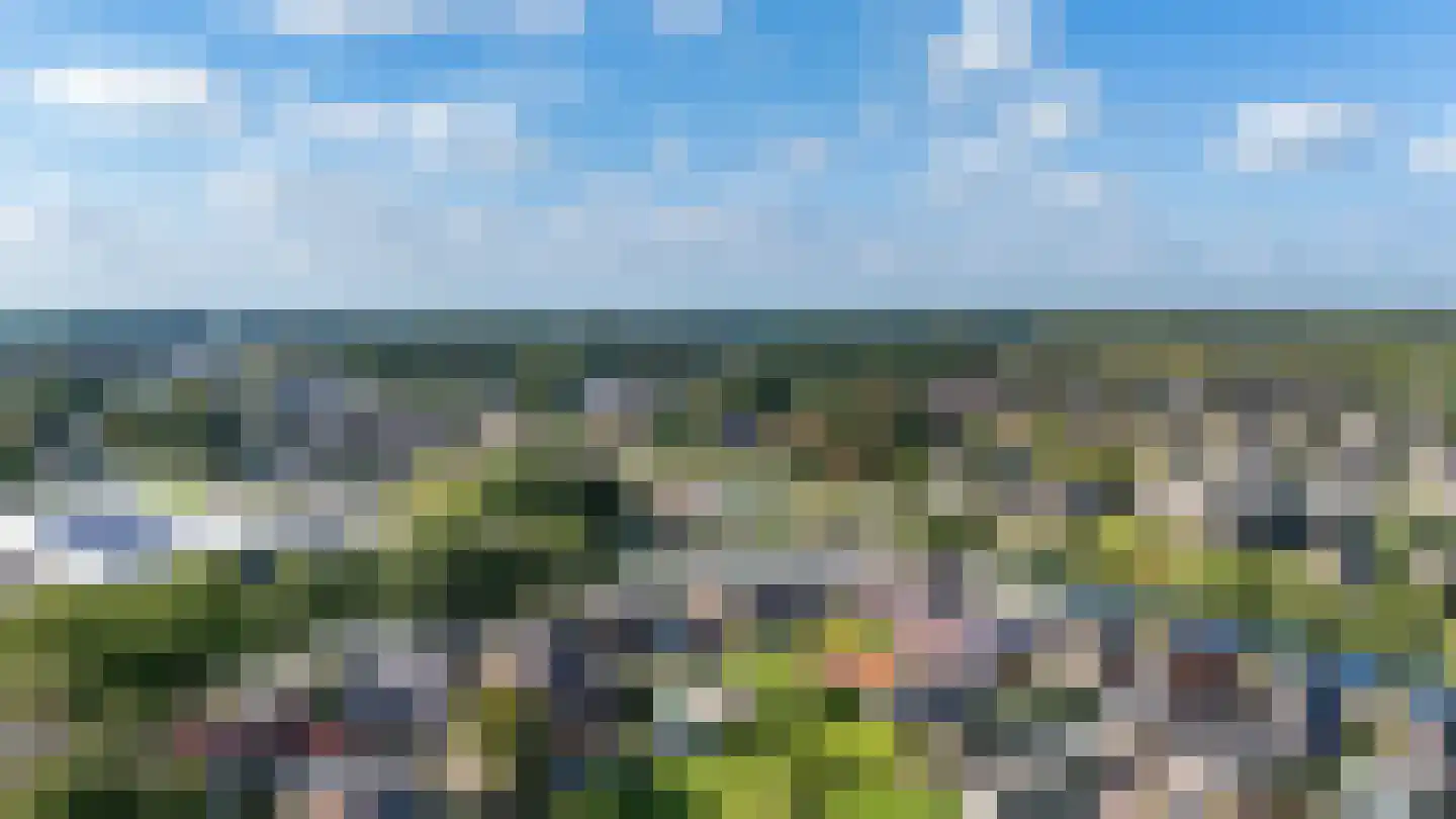 Zijtak OZ 3 Nieuw-Amsterdam thumbnail 68
