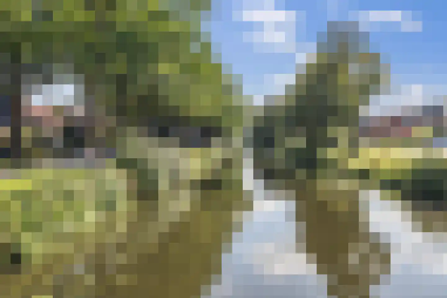 Zijtak OZ 3 Nieuw-Amsterdam thumbnail 72