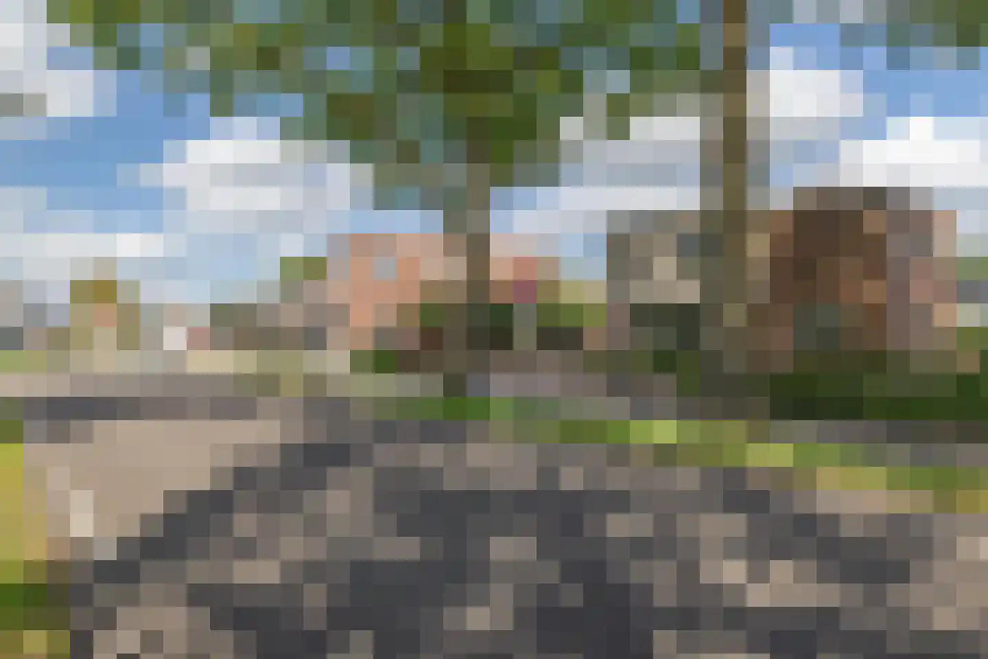 Zijtak OZ 3 Nieuw-Amsterdam thumbnail 74