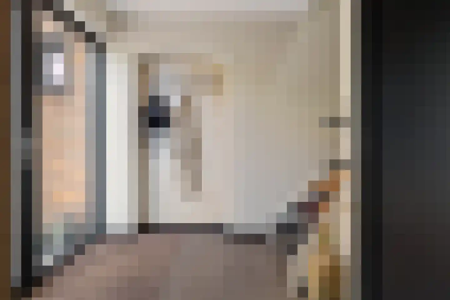 Zijtak OZ 3 Nieuw-Amsterdam thumbnail 8