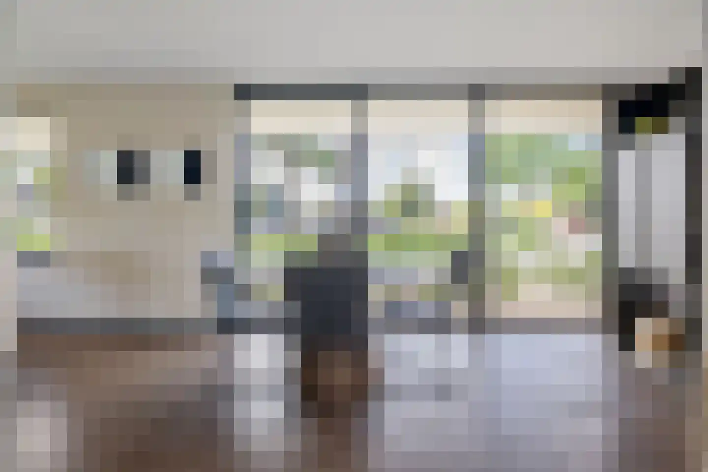 Zijtak OZ 3 Nieuw-Amsterdam thumbnail 9