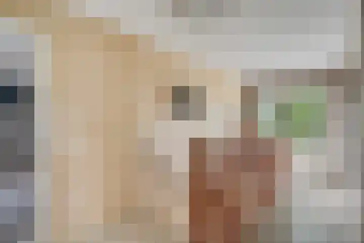 Zijtak OZ 64 Nieuw-Amsterdam thumbnail 18