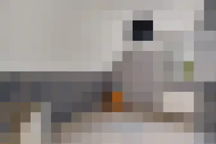 Zijtak OZ 64 Nieuw-Amsterdam thumbnail 23
