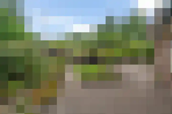 Zijtak OZ 64 Nieuw-Amsterdam thumbnail 29