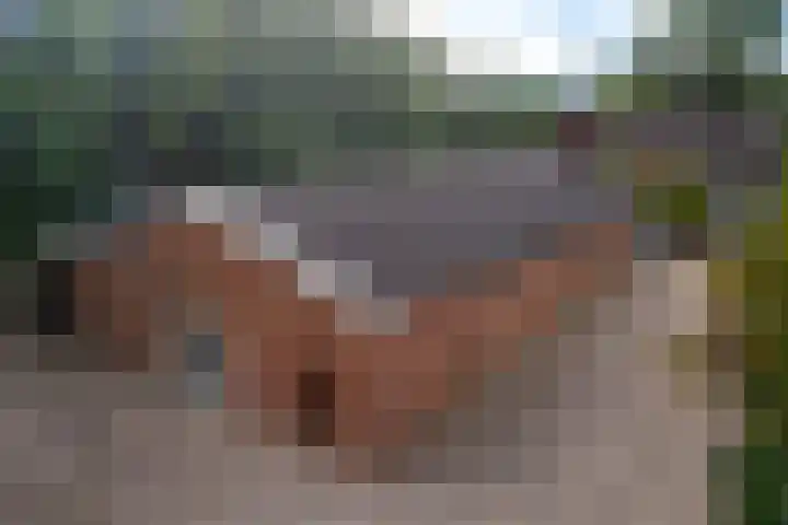 Zijtak OZ 64 Nieuw-Amsterdam thumbnail 35