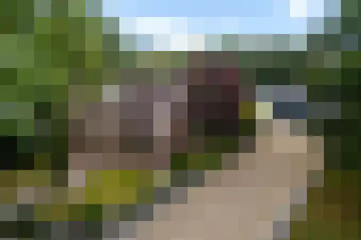 Zijtak OZ 64 Nieuw-Amsterdam thumbnail 36