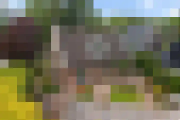 Zijtak OZ 64 Nieuw-Amsterdam thumbnail 37