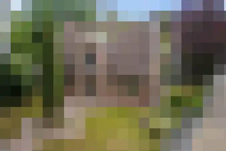 Zijtak OZ 64 Nieuw-Amsterdam thumbnail 40