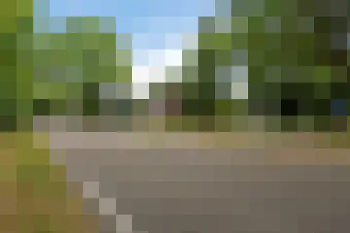 Zijtak OZ 64 Nieuw-Amsterdam thumbnail 41