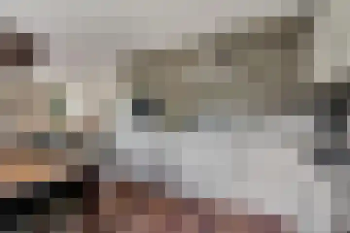 Zijtak OZ 64 Nieuw-Amsterdam thumbnail 5