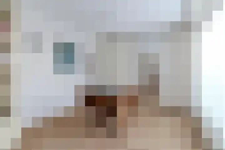 Zijthorst 16 Diessen thumbnail 18