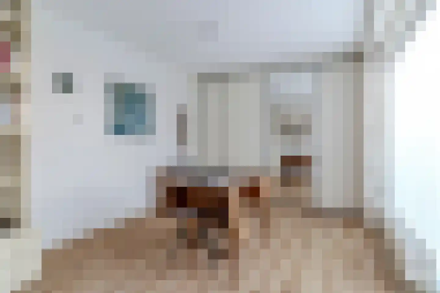 Zijthorst 16 Diessen thumbnail 18