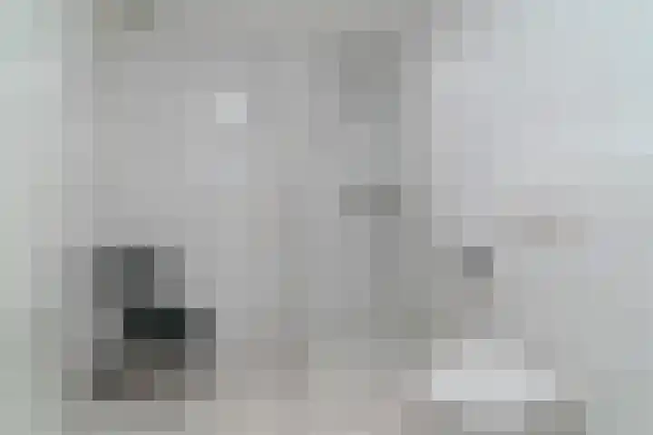 Zijthorst 16 Diessen thumbnail 21