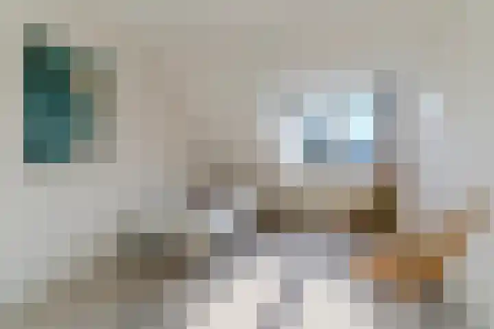 Zijthorst 16 Diessen thumbnail 27