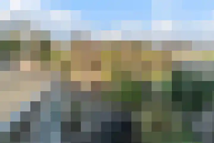 Zijthorst 16 Diessen foto 3