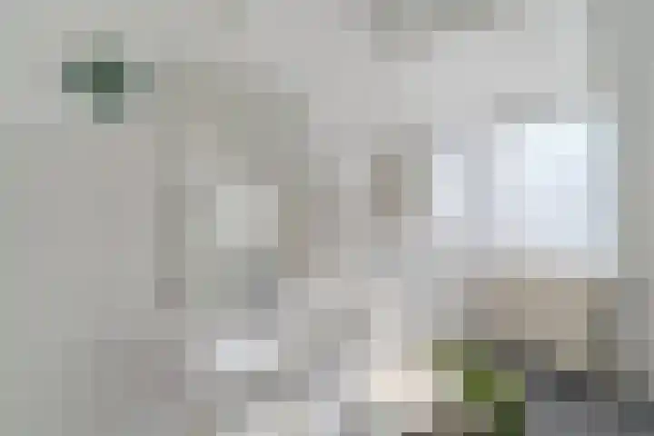 Zijthorst 16 Diessen thumbnail 35